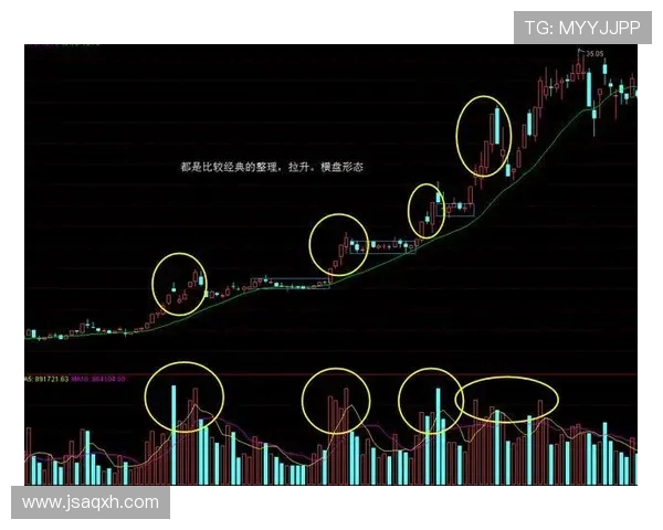 揭秘1998年世界杯冠军奖金背后的分配机制与历史影响全景解析 揭秘1998年世界杯冠军奖金背后的分配机制与历史影响全景解析